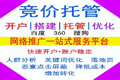 解析SEM代运营托管公司在市场竞争中的角色